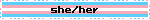 Trans pride flag animated badge