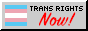 Trans rights badge with text 'Trans Rights Now'